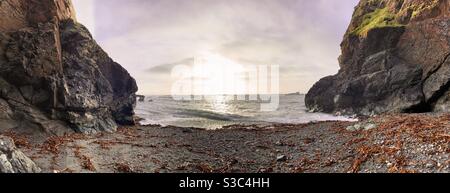 Soleil à Lizard point, Cornwall, Royaume-Uni. Panorama de Polpeor Cove isolé et déserté avec de spectaculaires falaises rocheuses noires, plage de galets et algues avec vagues de rupture en hiver Banque D'Images