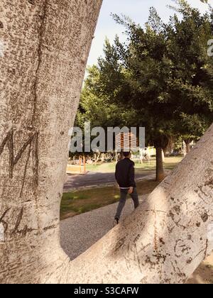 Vendeur de rue vu parmi les branches d'un arbre comme il vend la nourriture turque appelée SIMIT , qui est le bagel de sésame rond qui est très populaire dans le pays. Banque D'Images