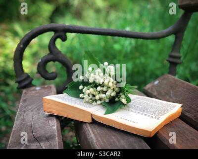 Nénuphars de la vallée et un livre placé sur un table en bois Banque D'Images