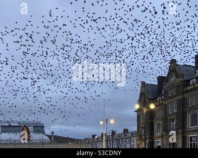 Aberystwyth, pays de Galles de l'Ouest, Royaume-Uni. Lundi 11 janvier 2021. Météo : par une matinée froide, des milliers d'étoiles remplissent le ciel d'Aberystwyth. Crédit photo ©️ Rose Voon / Alamy Live News. Banque D'Images