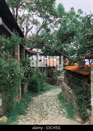 Vieux bâtiments à Saint-Panteleimon avec des arbres verts et la nature. Palaios Panteleimonas, Pieria, Macédoine centrale, Grèce. Banque D'Images