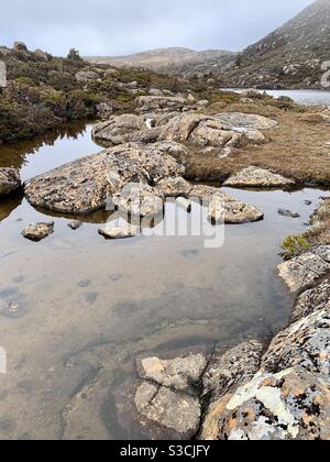 Plateau du Tarn, parc national du Mont Field Banque D'Images