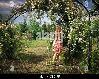 Femme en robe colorée ramassant des fleurs dans un jardin de roses Banque D'Images