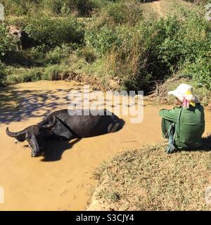Fermier regardant son buffle d'eau ayant un bain dans boueux Eau Myanmar Banque D'Images