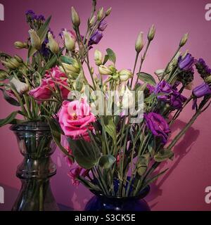 Une photo en gros plan de belles fleurs roses et violettes contre un mur rose sombre Banque D'Images