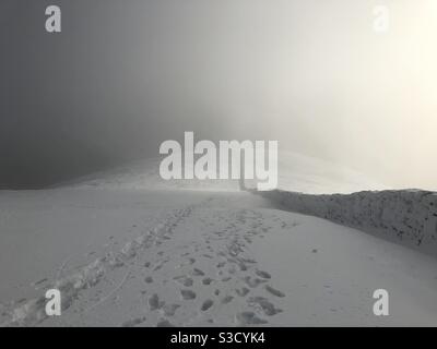 Dans la brume enneigée Banque D'Images