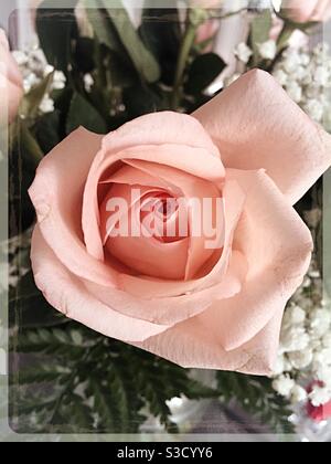 Gros plan d'une fleur rose dans un bouquet Banque D'Images