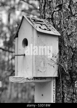 Clôture monochromatique d'une maison d'oiseaux en bois sur un pin en forêt Banque D'Images