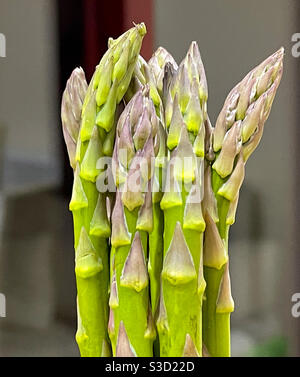 Vue rapprochée des pointes des asperges Banque D'Images