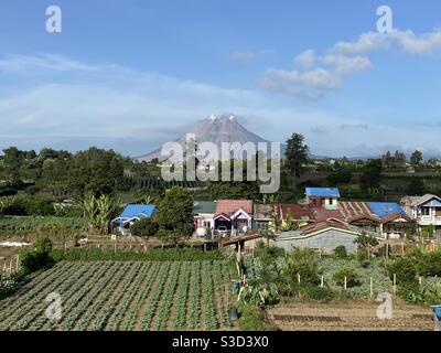 Mont Sinabung, Beristagi, Sumatra Banque D'Images