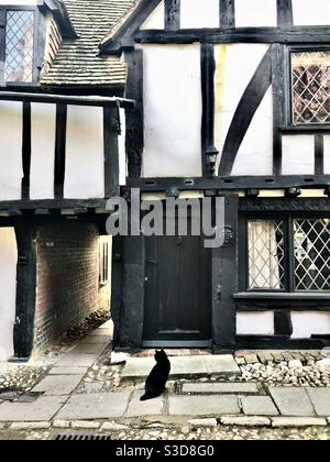 Chat noir dans la rue en face d'une maison tudor à Rye, East Sussex, royaume-uni Banque D'Images