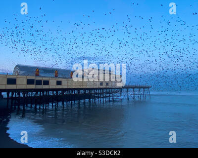 Aberystwyth, pays de Galles de l'Ouest, Royaume-Uni. Lundi 15 février 2021. Temps : une matinée froide où des milliers d'étoiles éclatent dans une belle momuration. Crédit photo ©️ Rose Voon / Alamy Live News. Banque D'Images