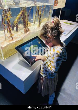 Une petite fille avec la queue de cheval utilisant l'écran tactile à un écran dans le musée de la science du gel, Miami, Floride, États-Unis Banque D'Images