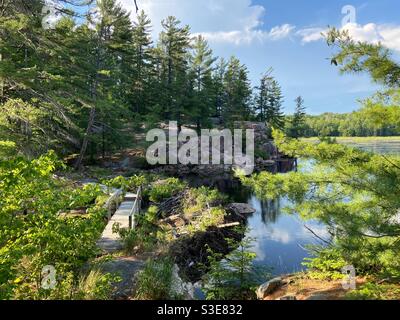 Cranberry Bog Trail - Parc provincial Killarney Banque D'Images