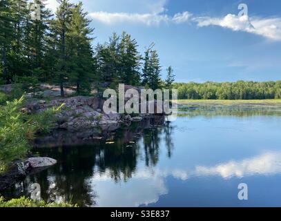 Cranberry Bog Trail - Parc provincial Killarney Banque D'Images