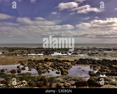 Rock pools sur une plage de Sussex Banque D'Images