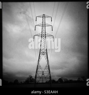 L'image monochrome noir et blanc s'aligna sur les pylônes d'électricité champ ouvert Banque D'Images
