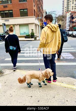 Ces bottes noires (pour chiens) sont stylin»! Banque D'Images