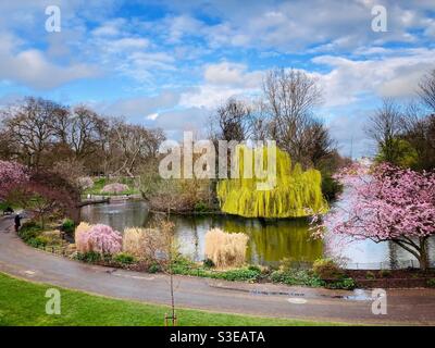 Heure de printemps à St James's Park, Londres Banque D'Images