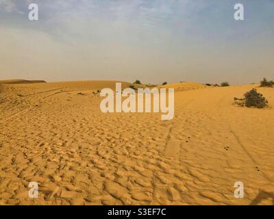 Paysage désertique à l'heure du coucher du soleil près de Dubaï, Émirats Arabes Unis. Banque D'Images