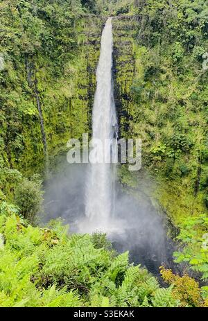 Chutes d'Akaka dans la grande île d'Hawaï Banque D'Images