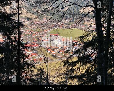 Vue panoramique sur la ville de Bayrischzell avec des pins en premier plan, Allemagne. Banque D'Images