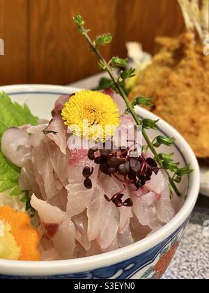 Sashimi de chinchard frais avec bourgeons de shiso. Cuisine japonaise savoureuse Banque D'Images