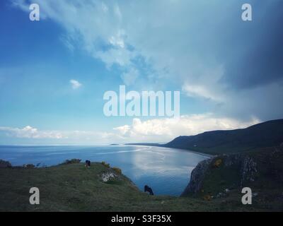 Une photographie de chevaux sauvages à la baie de Rhossili, sur la péninsule de Gower, au pays de Galles, au Royaume-Uni, le week-end des vacances de printemps Banque D'Images