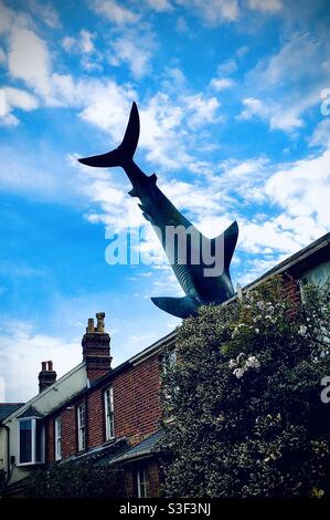 Requin sur le toit de la maison Banque D'Images