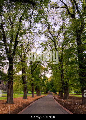 Fitzroy Gardens à East Melbourne, Victoria, Australie Banque D'Images