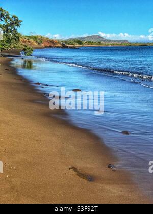 Vue panoramique verticale d'une plage sur l'île Floreana, îles Galápagos, Equateur Banque D'Images