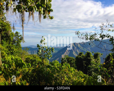 Vue sur l'arête de montagne à travers la jungle dans la chaîne de montagnes de la Sierra Maestra, Cuba Banque D'Images