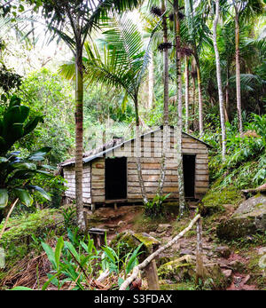 Chalet en bois dans la jungle, camp où Fidel Castro et Che Guevara se cachaient dans les montagnes de la Sierra Maestra pendant la Révolution cubaine, Cuba Banque D'Images