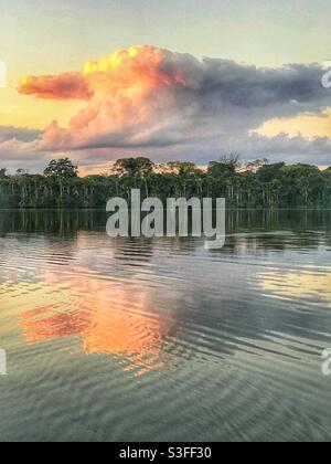 Les nuages se reflètent dans l'eau calme au coucher du soleil, le lac Sandoval, l'Amazonie péruvienne Banque D'Images