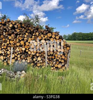 Pile de grumes pour le chauffage domestique dans les zones rurales de la France. Banque D'Images