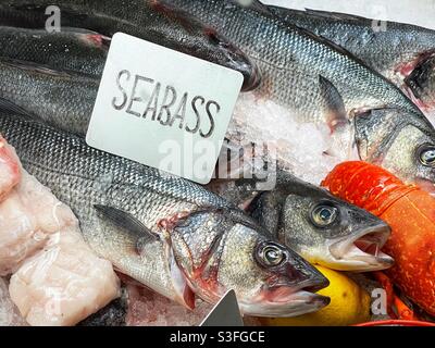 Bar de mer sur glace dans un comptoir de restaurant Banque D'Images