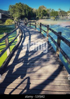 Promenade au-dessus de l'eau dans le parc Centenary Lakes, Caboolture, Queensland, Australie Banque D'Images