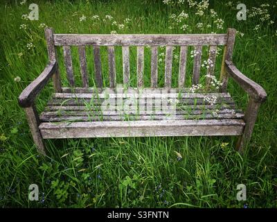 Un banc de jardin en bois qui a été surcultivé par de longues herbes et des fleurs sauvages Banque D'Images