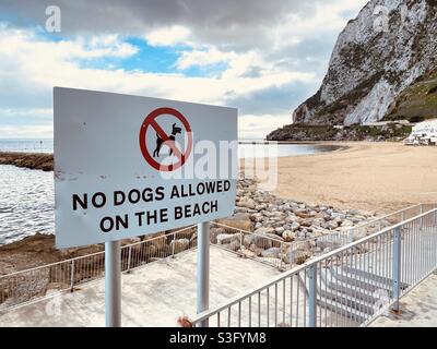 Panneau indiquant qu'aucun chien n'est autorisé sur la plage Banque D'Images