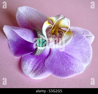 Fleur d'orchidée avec anneau d'émeraude et de diamants Banque D'Images
