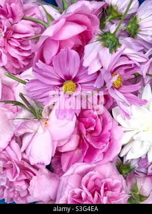 Fond plein cadre nature de belles fleurs roses qui ont été morts avec l'espace de copie Banque D'Images