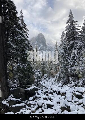 Point de vue des rochers enneigés parmi les pins d'hiver, parc national de Yosemite, Californie, États-Unis Banque D'Images