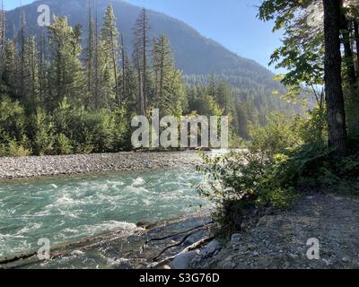 Rivière qui se précipite dans la zone boisée de Stehekein, dans le parc national de North Cascades, Washington, États-Unis Banque D'Images