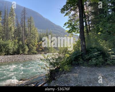 Rivière qui se précipite dans la zone boisée de Stehekein, dans le parc national de North Cascades, Washington, États-Unis Banque D'Images