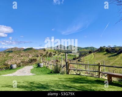 Collines ondulantes et vignobles à Malibu, Californie, États-Unis Banque D'Images