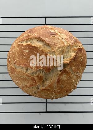 Pain au levain, pain rond Banque D'Images