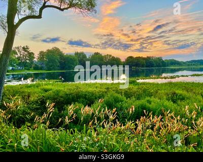 Lac au lever du soleil et nénuphars Banque D'Images