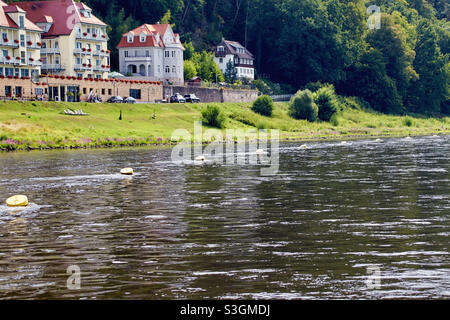 Vue depuis un ferry traversant la rivière Elbe près de Rathen Saxe Banque D'Images