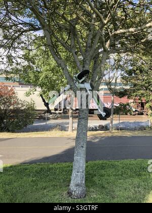 Seattle, États-Unis, 21 juillet 2021. Un scooter Lime en partage dans un arbre dans Myrtle Edwards Park juste avant le coucher du soleil. Banque D'Images