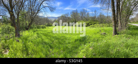 Prairie, vue panoramique. Parc national de la Sierra de Guadarrama, province de Madrid, Espagne. Banque D'Images